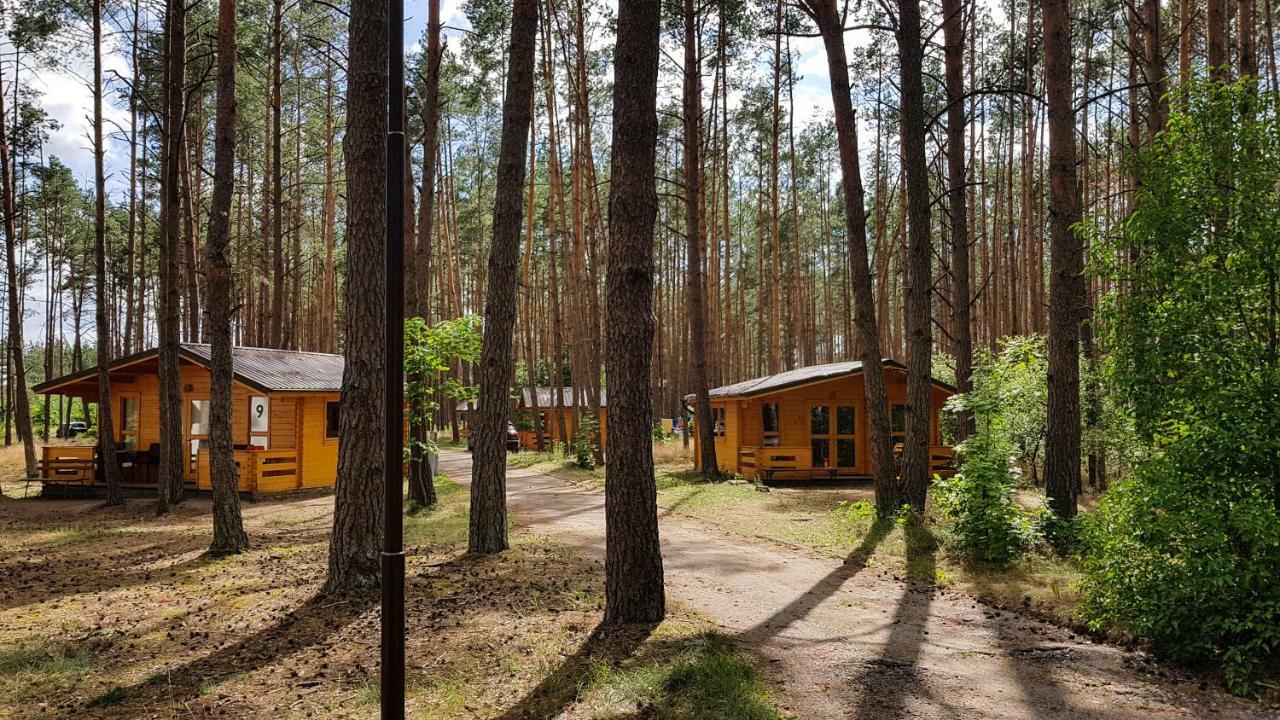 Hotel Osrodek Wypoczynkowy Nad Brda à Tuchola Extérieur photo